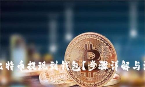 如何把比特币提现到钱包？步骤详解与注意事项