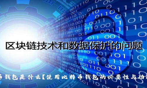 比特币钱包是什么？使用比特币钱包的必要性与功能解析