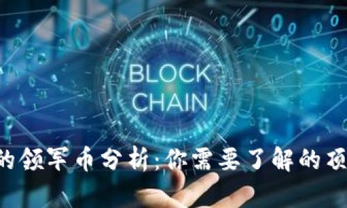 Web3行业的领军币分析：你需要了解的顶尖加密货币