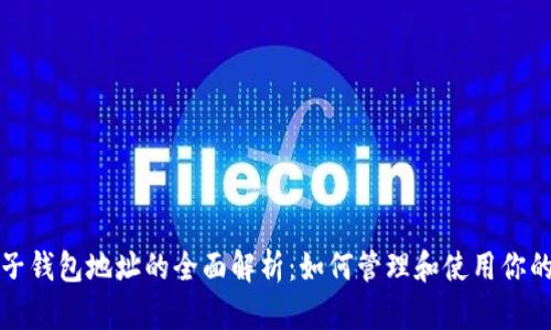 比特币子钱包地址的全面解析：如何管理和使用你的子钱包