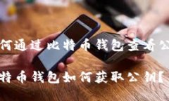 如何通过比特币钱包查看