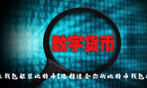 什么钱包能装比特币？选择适合你的比特币钱包指南