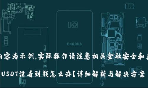 注意：下面内容为示例，实际操作请注意相关金融安全和系统稳定性。

TP钱包充了USDT没看到钱怎么办？详细解析与解决方案