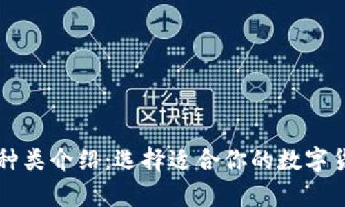比特币钱包种类介绍：选择适合你的数字货币存储方式