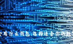比特币现金用什么钱包：