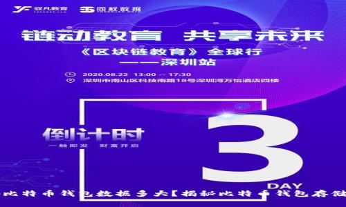 本地比特币钱包数据多大？揭秘比特币钱包存储需求