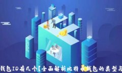 比特币钱包ID有几个？全面解析比特币钱包的类型