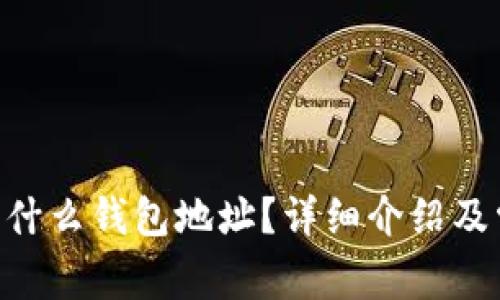  USDT提款用什么钱包地址？详细介绍及常见问题解答