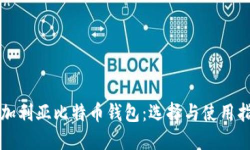 保加利亚比特币钱包：选择与使用指南
