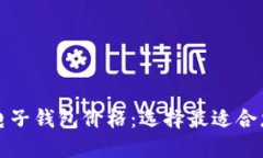 比特币电子钱包价格：选择最适合您的钱包