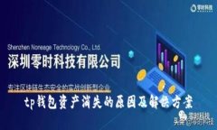 tp钱包资产消失的原因及解