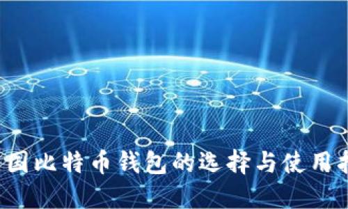  美国比特币钱包的选择与使用指南