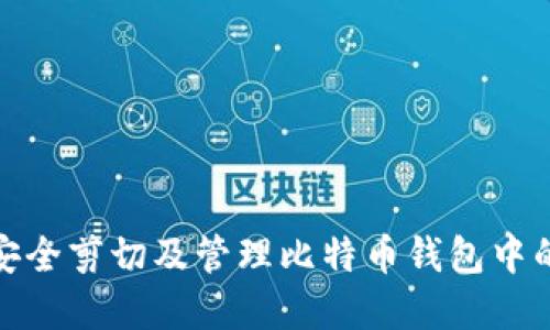 如何安全剪切及管理比特币钱包中的资金