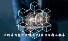 比特币钱包下载哪个快？