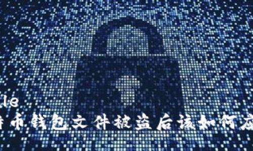 /Title
比特币钱包文件被盗后该如何应对？