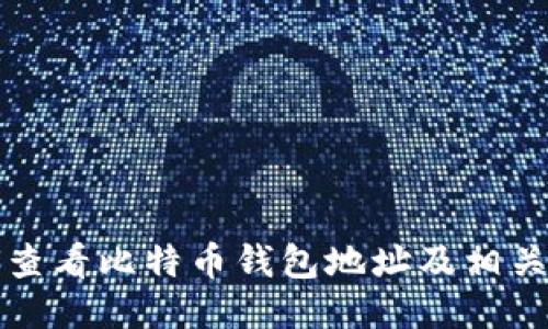 如何查看比特币钱包地址及相关信息