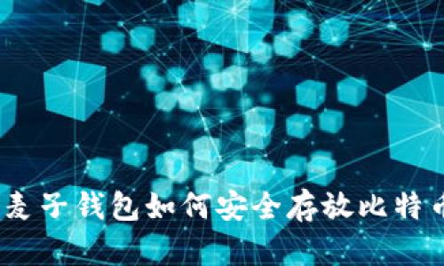 : 麦子钱包如何安全存放比特币？