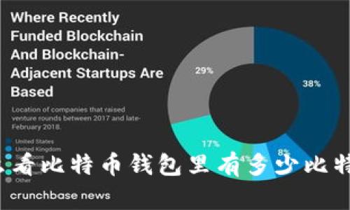 怎么看比特币钱包里有多少比特币？