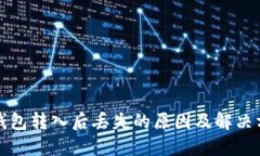 TP钱包转入后丢失的原因及