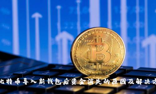 : 比特币导入新钱包后资金消失的原因及解决方案