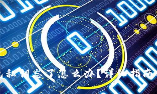 TP钱包私钥忘了怎么办？详细指南与解析