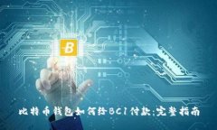比特币钱包如何给BC1付款