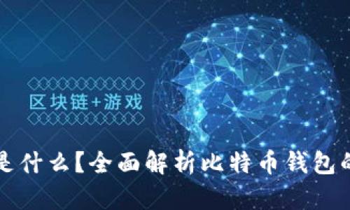比特币钱包是什么？全面解析比特币钱包的种类与功能