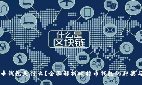比特币钱包是什么？全面解析比特币钱包的种类与功能