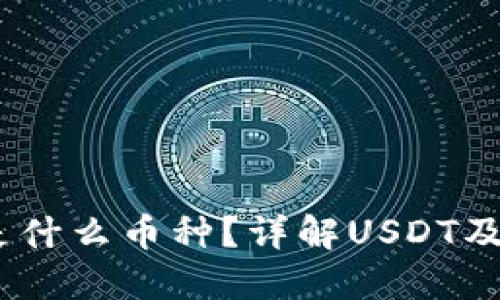 USDT钱包是什么币种？详解USDT及其钱包功能