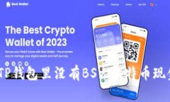 为什么TP钱包里没有BSV（比