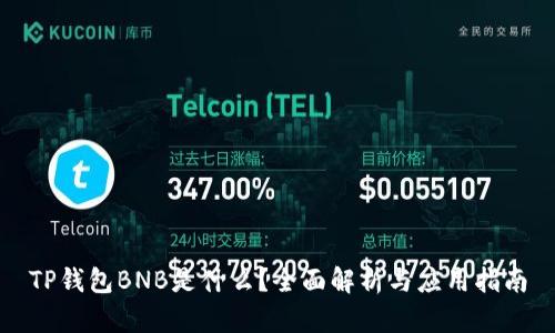 TP钱包BNB是什么？全面解析与应用指南