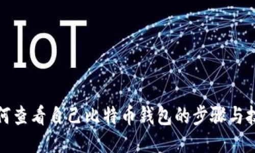 如何查看自己比特币钱包的步骤与技巧