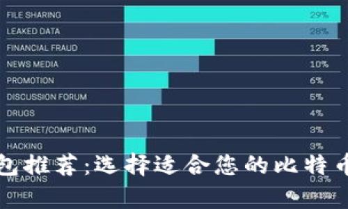 比特币钱包推荐：选择适合您的比特币存储方案