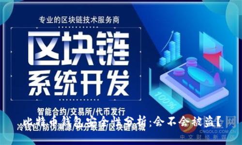 比特币钱包安全性分析：会不会被盗？