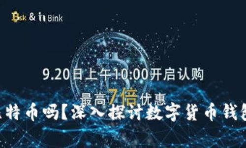 cgpay钱包是比特币吗？深入探讨数字货币钱包的种类与功能