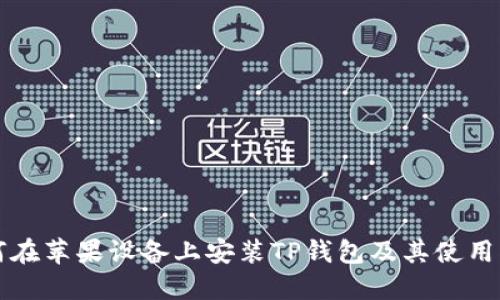 如何在苹果设备上安装TP钱包及其使用指南
