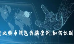 黑客卖比特币钱包诈骗案