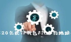 : 深入了解20亿枚TP钱包F