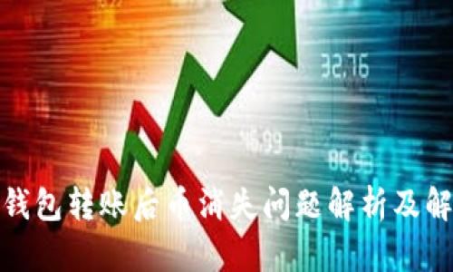 使用TP钱包转账后币消失问题解析及解决方案