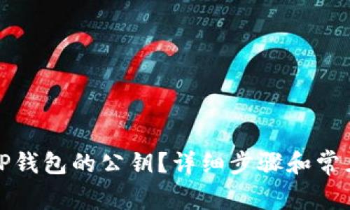 如何查看TP钱包的公钥？详细步骤和常见问题解答