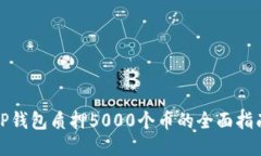 TP钱包质押5000个币的全面