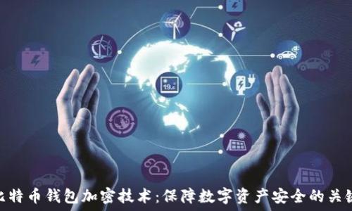   
比特币钱包加密技术：保障数字资产安全的关键