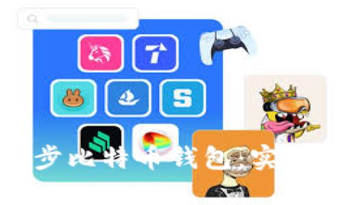如何快速同步比特币钱包：实用指南与技巧