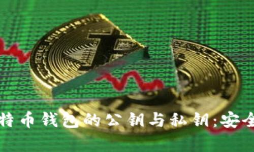 彻底解析比特币钱包的公钥与私钥：安全与使用指南