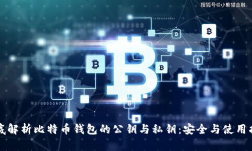 彻底解析比特币钱包的公钥与私钥：安全与使用指南