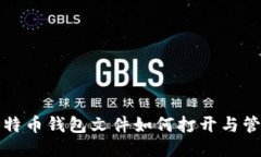 比特币钱包文件如何打开