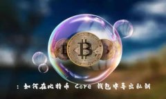 : 如何在比特币 Core 钱包中