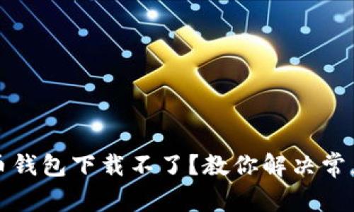 比特币钱包下载不了？教你解决常见问题