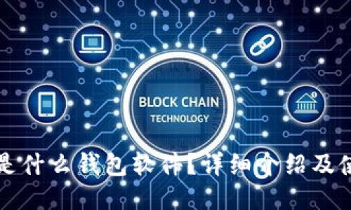 比特币是什么钱包软件？详细介绍及使用指南