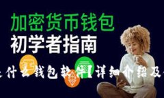 比特币是什么钱包软件？